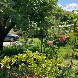 la-maison-dalice-aix-les-bains.hotels-rhonealpes.com/